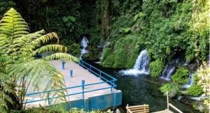 Aksi Peran Perempuan dalam Jelajah Sumber Mata Air, Perumda Tirta Kuatkan Kepedulin Water and Gender Where Water Flows, Equality Grows