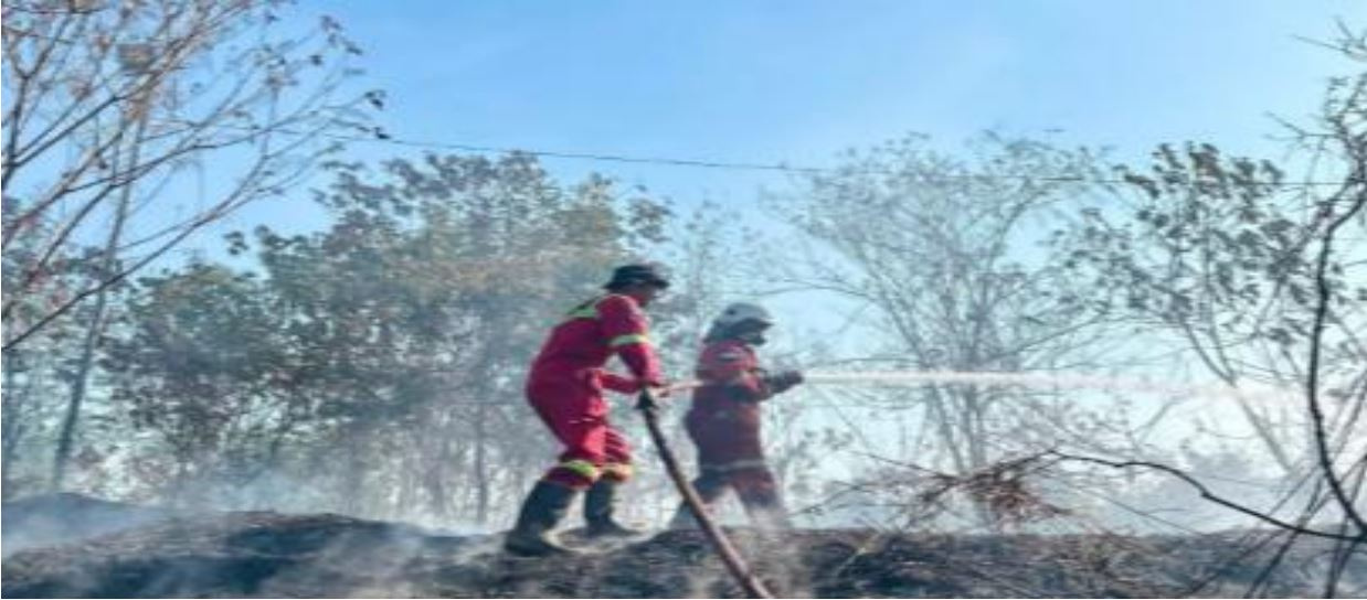 BPBD bersama relawan dan damkar melakukan pemadaman dan pendinginan di lokasi karhutla yang dapat dijangkau pada wilayah Kabupaten Kutai Kartanegara, Provinsi Kalimantan Timur, Rabu (19/8). Sumber foto: BPBD Kabupaten Kutai Kartanegara