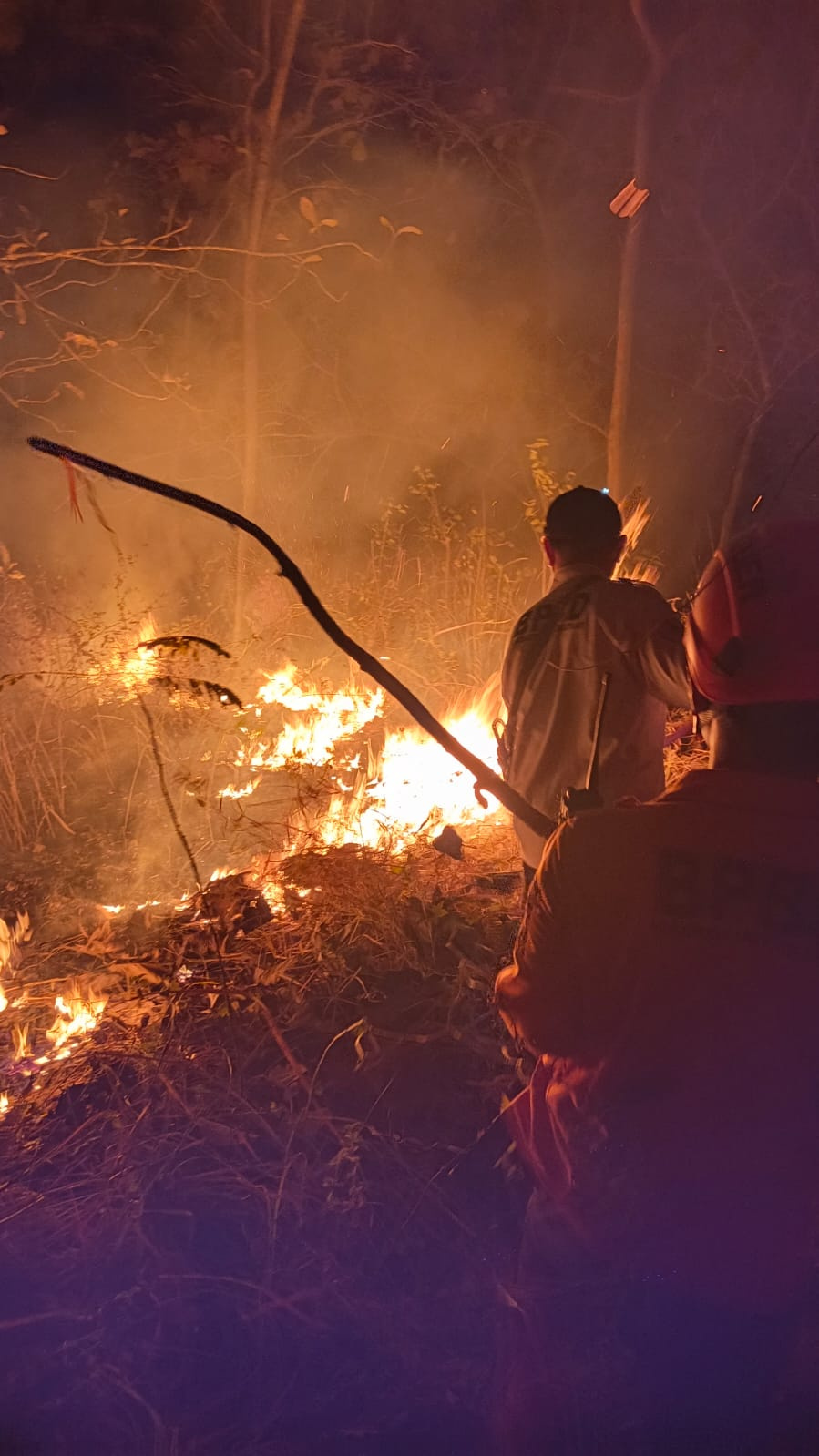BPBD bersama unsur terkait melakukan pemadaman tiga hektare lahan vegetasi kering dan serasah di permukaan tanah yang terbakar di Desa Kaulon, Kabupaten Blitar, Provinsi Jawa Timur Rabu (19/8). Sumber fotodan video: BPBD Provinsi Jawa Timur
