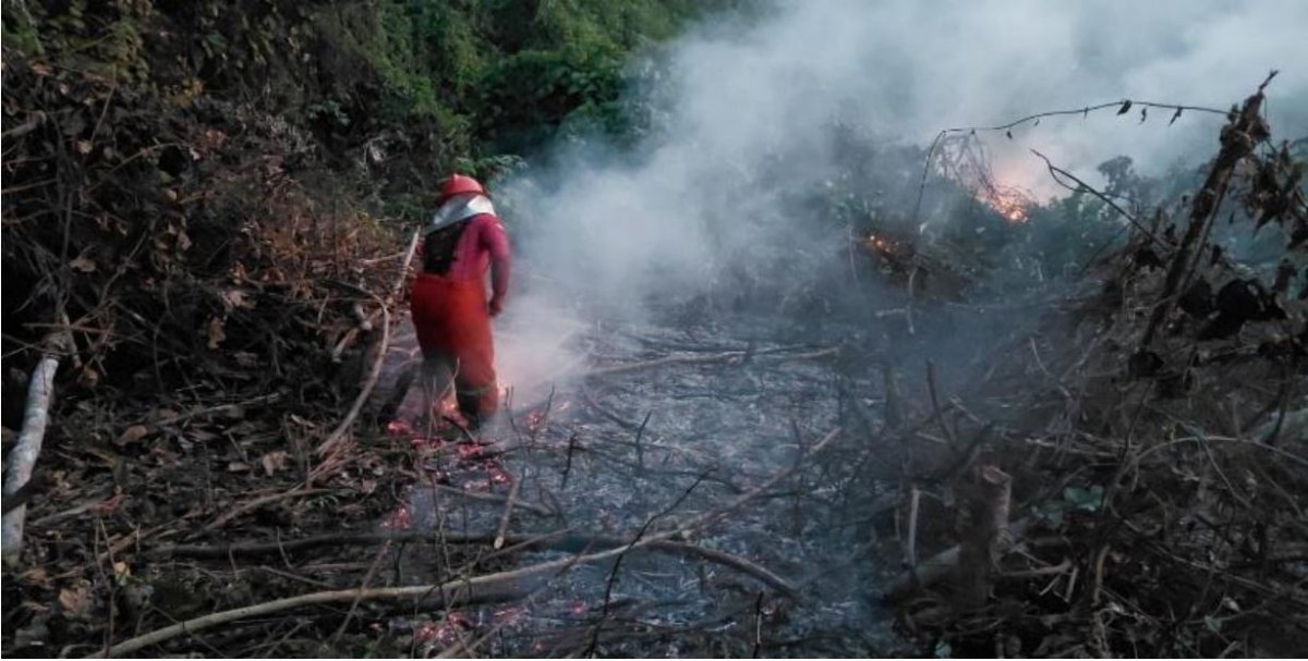 Perkembangan Situasi dan Penanganan Bencana di Tanah Air, Penanganan Karhutla