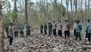 Antisipasi Karhutla, Perhutani gandeng TNI-Polri Gelar Apel Siaga dan Patroli Hutan
